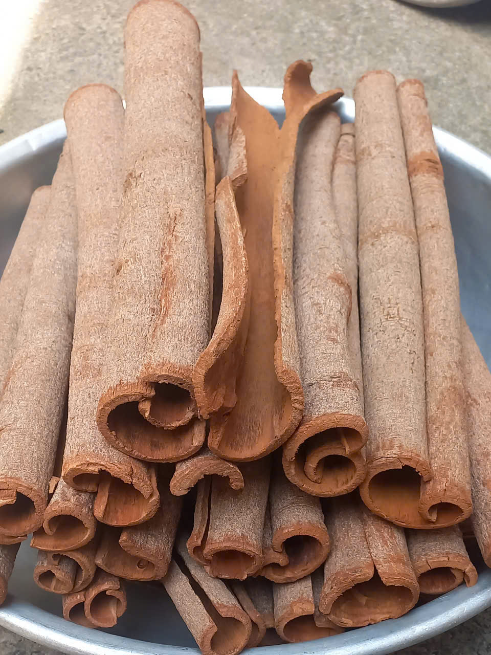 Vỏ Quế Cổ Thụ Sạch Cao Cấp